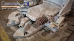 Amassadeira batedeira de panetone